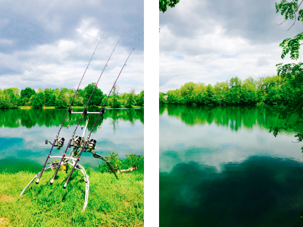 Poste de pêche pour la carpe en no kill, vue du rod pod et de l'étang